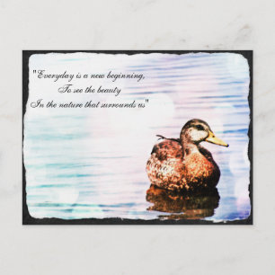 Duck Beauty Postcard Postkarte