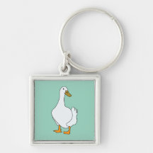 Duck Bird White Duck