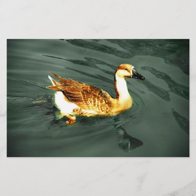 Duck Briefpapier (Vorderseite)