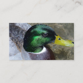 Duck Business Cards Visitenkarte