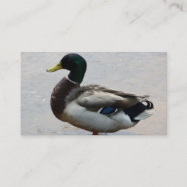 Duck Business Cards Visitenkarte