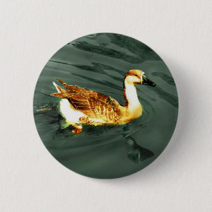 Duck Button