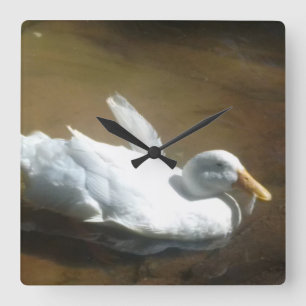 Duck Clock Quadratische Wanduhr