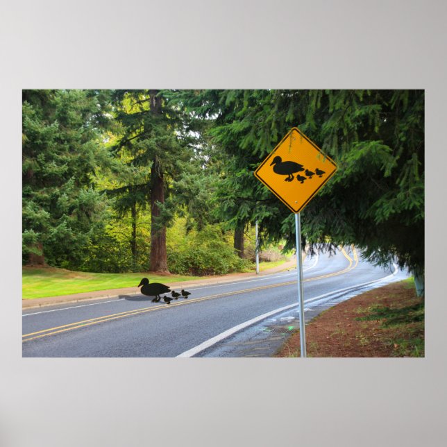 Duck Crossing Poster (Vorne)