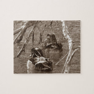 Duck Drake and Hen in Sepia