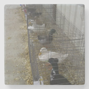 Duck Drink Untersetzer