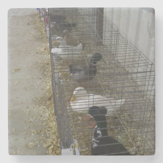 Duck Drink Untersetzer (Vorderseite)