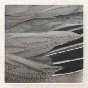 Duck Feather Foto Moderne Schwarze Graue Natur Glasuntersetzer