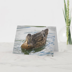 Duck Greeting Card Karte