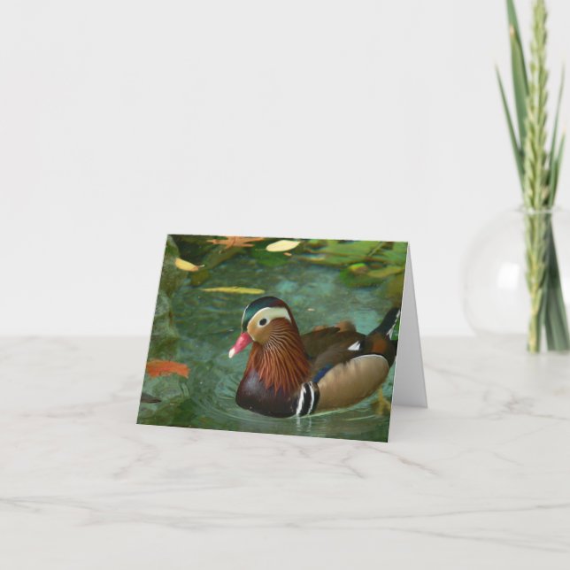 Duck Greeting Cards Karte (Vorderseite)