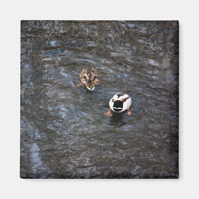 DUCK HINTERNS MAGNET (Vorne)