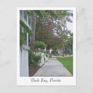 Duck Key, Florida Postkarte