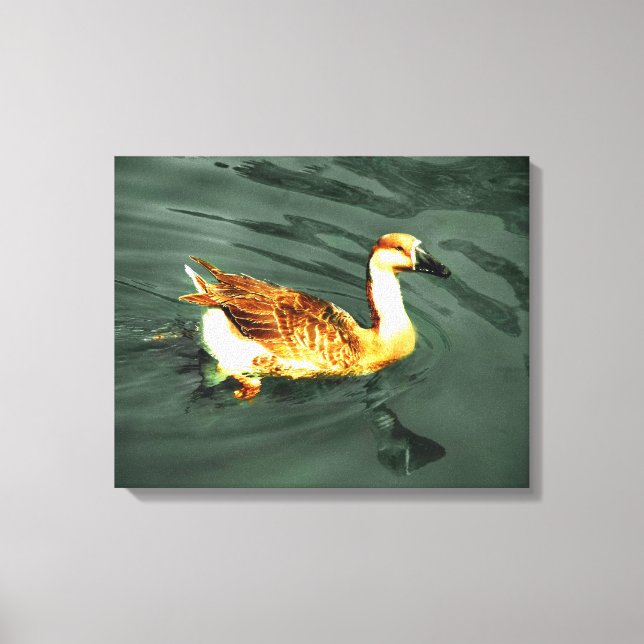 Duck Leinwanddruck (Vorderseite)
