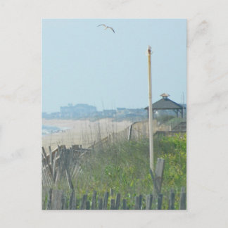 Duck North Carolina Coastline Postkarte