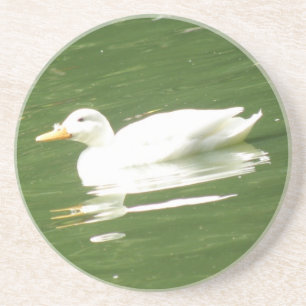 Duck on the Water Coasters Sandstein Untersetzer