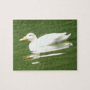 Duck on Water Puzzle
