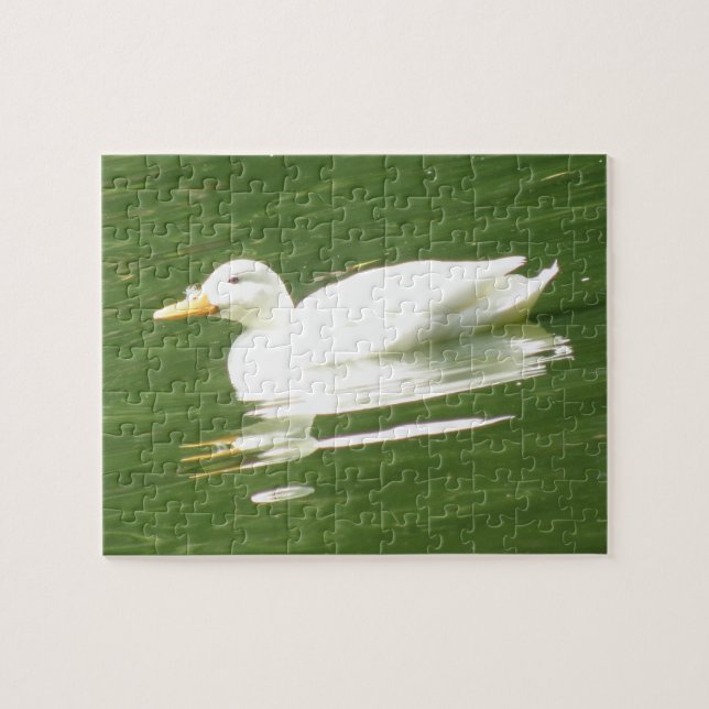 Duck on Water Puzzle (Horizontal)