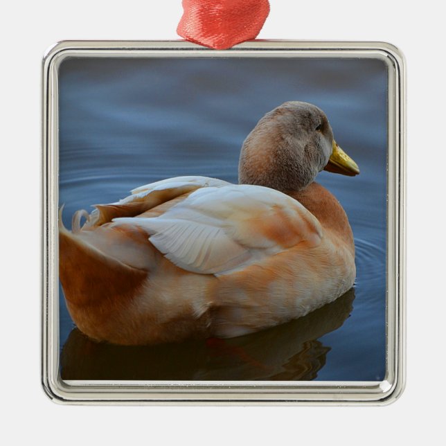 Duck Ornament Aus Metall (Vorne)
