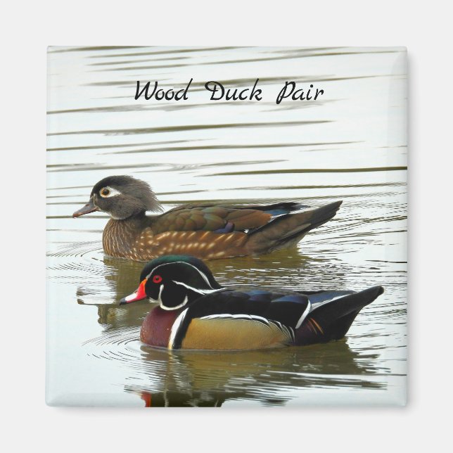 Duck-Paar Magnet (Vorne)