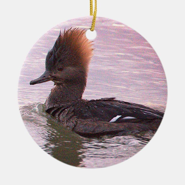 Duck Photo Ornament (Vorne)