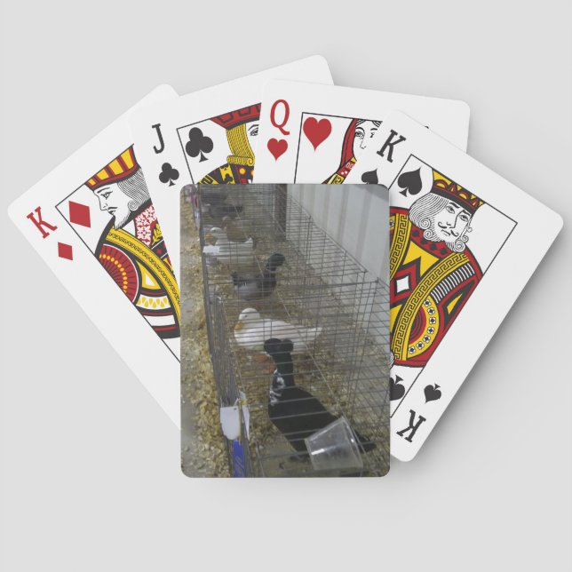 Duck Playing Cards Spielkarten (Rückseite)