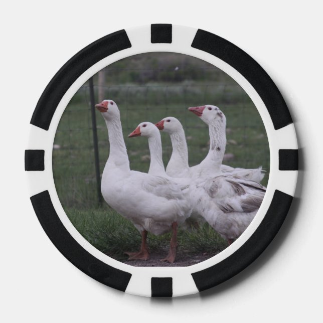 Duck Pokerchips (Vorderseite)