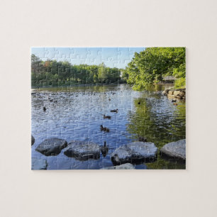 Duck Pond
