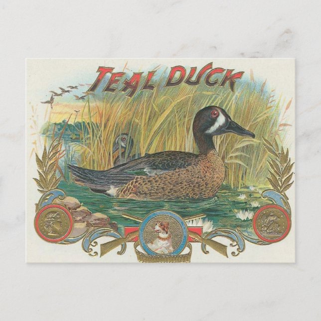 Duck Postkarte (Vorderseite)