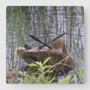 Duck Preening in the Reeds Quadratische Wanduhr