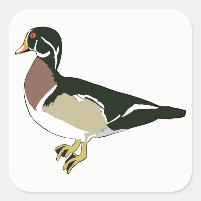 Duck Quadratischer Aufkleber (Vorderseite)