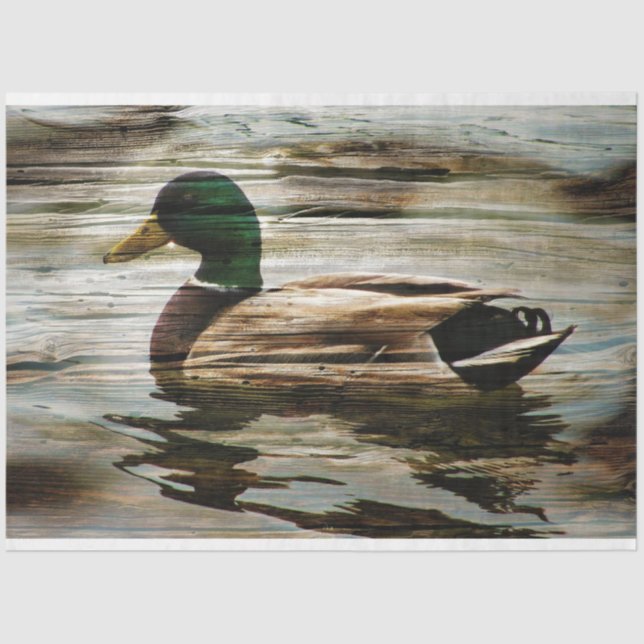 Duck Seidenpapier (Vorderseite)