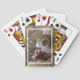 Duck Spielkarten