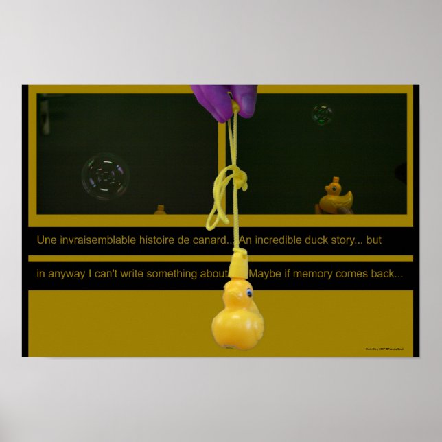 Duck Story ou une une unbeschreibliches Histoire P Poster (Vorne)