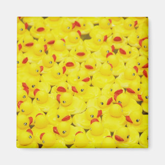 Duckies Magnet