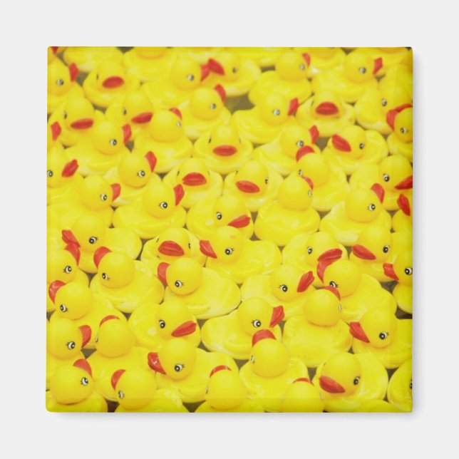 Duckies Magnet (Vorne)