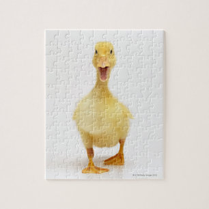 Duckling