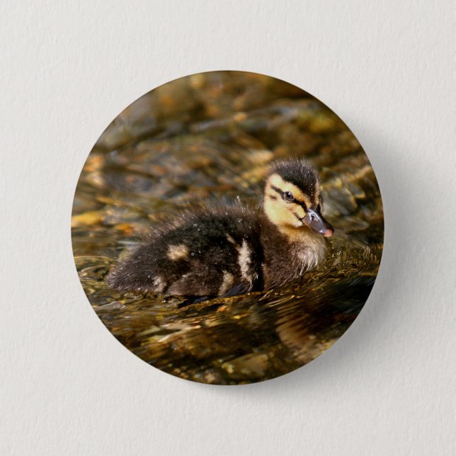 Duckling Button (Vorderseite)