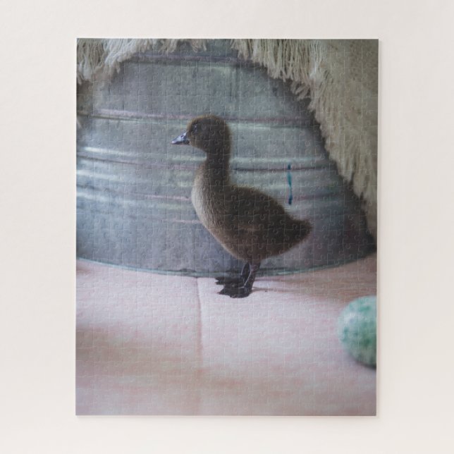 Duckling, Dark Brown Baby Duck (Vertikal)