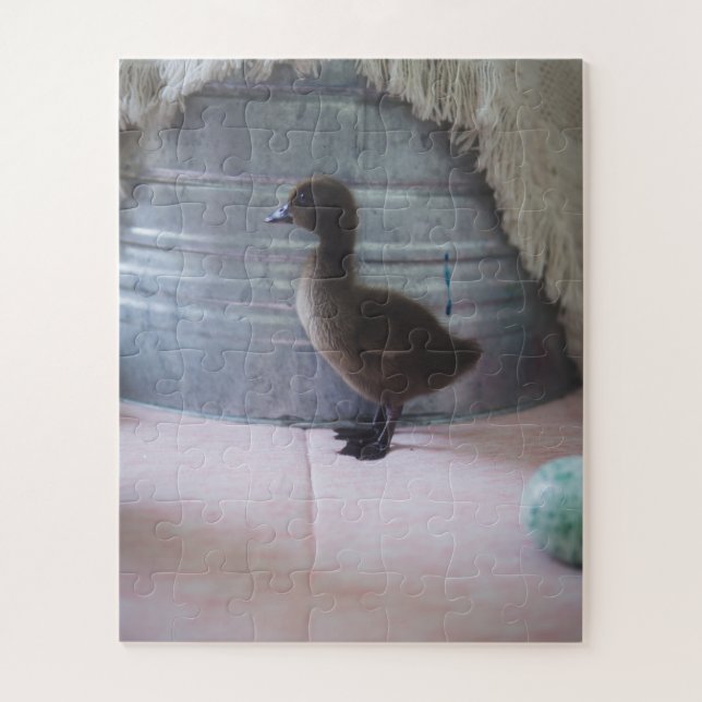 Duckling, Dark Brown Baby Duck (Vertikal)