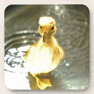 Duckling hat ein Bad. Getränkeuntersetzer