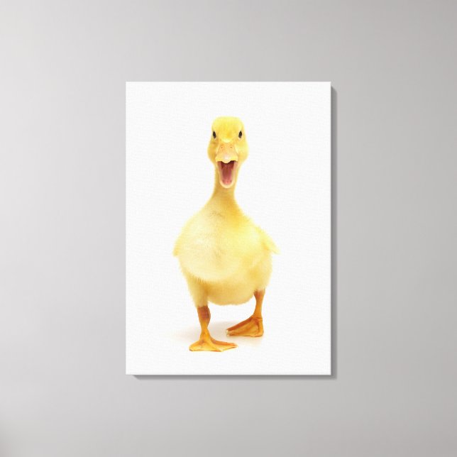 Duckling Leinwanddruck (Vorderseite)