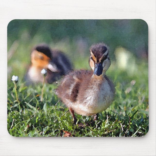Duckling Mousepad (Vorne)