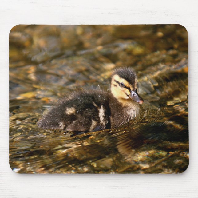 Duckling Mousepad (Vorne)