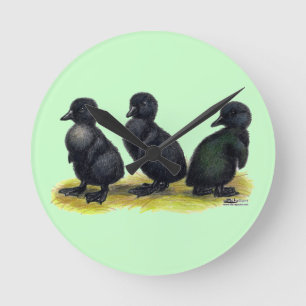 Ducklings Black Cayuga Runde Wanduhr