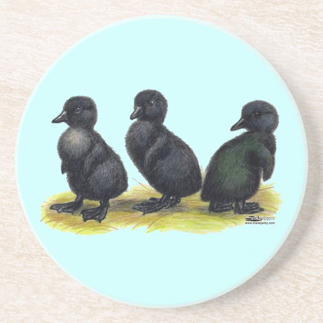 Ducklings Black Cayuga Untersetzer (Vorne)