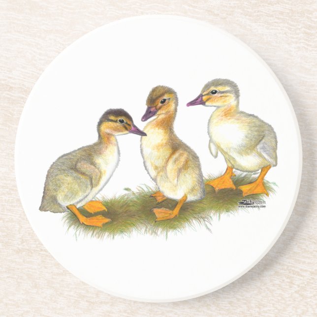 Ducklings: Buff Orpingtons Sandstein Untersetzer (Vorne)