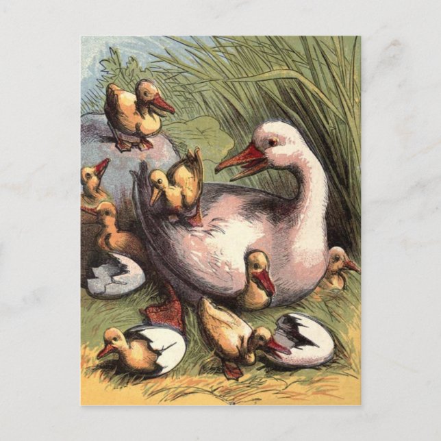 Ducklings gerade Hatched Vintage Image Postkarte (Vorderseite)