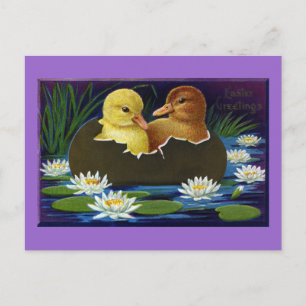 Ducklings in Eggshell Boat with Water Lilis Postkarte