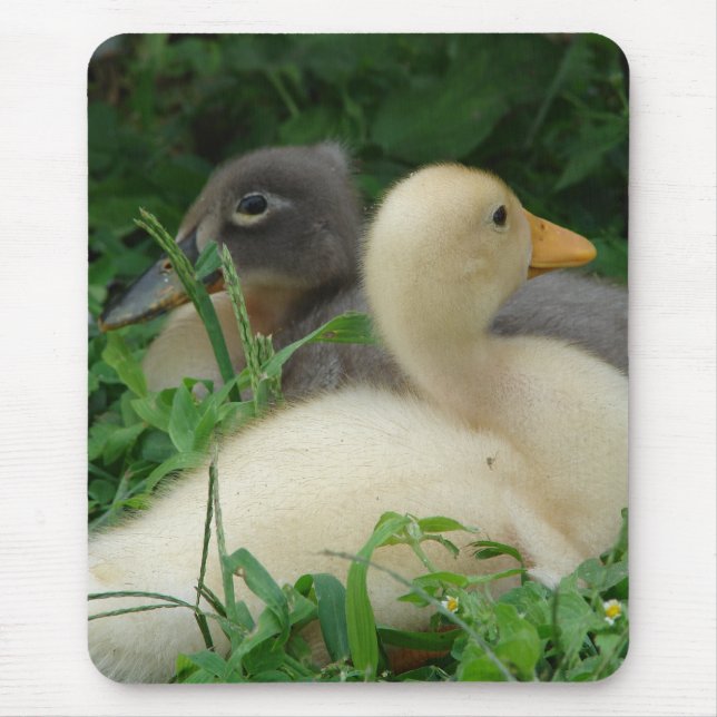 Ducklings Mousepad (Vorne)