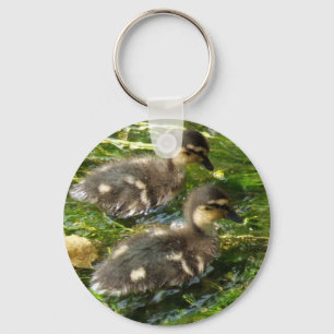 Ducklings Postkarte Schlüsselanhänger